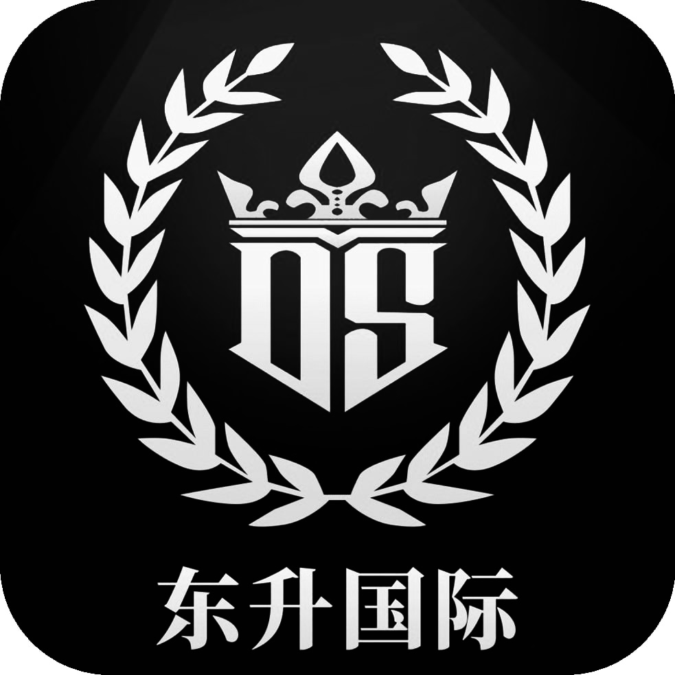 东升国际