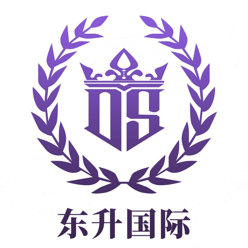 东升国际
